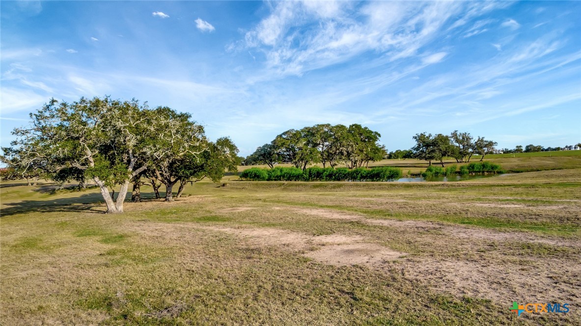 Hallettsville, Texas, 77964, United States, ,Land,For Sale,1989660