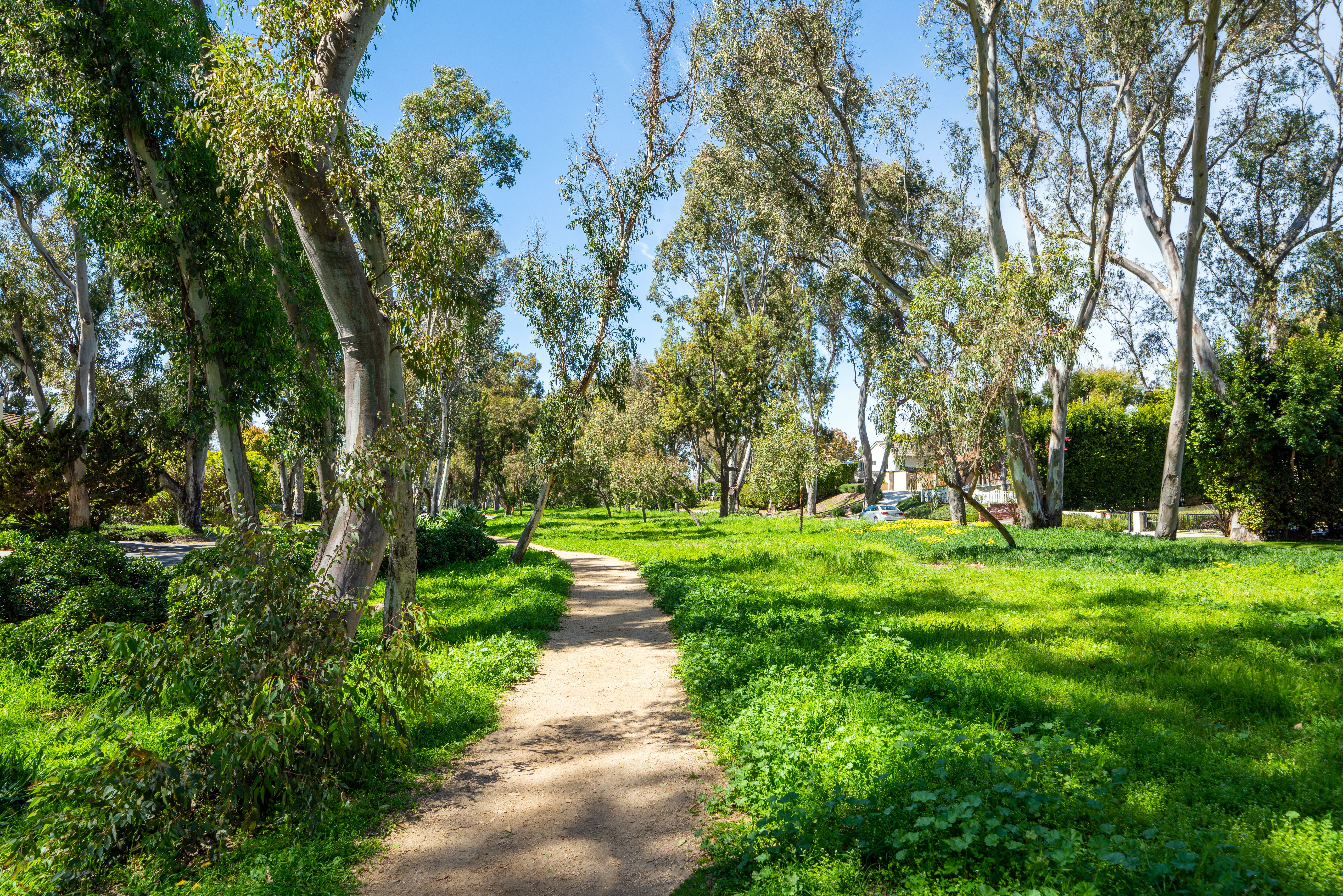  3224 Palos Verdes Drive North, Palos Verdes Estates, CA 90274 - 物件實景