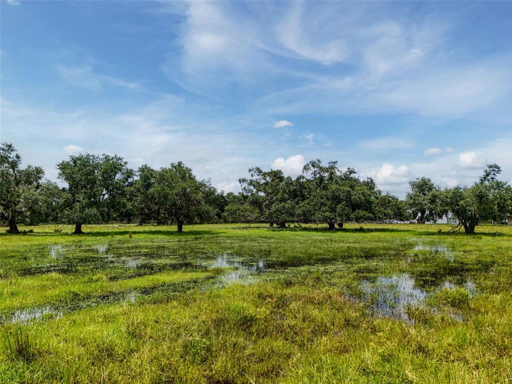 Myakka City, Florida, 34251, United States, ,Land,For Sale,1908306