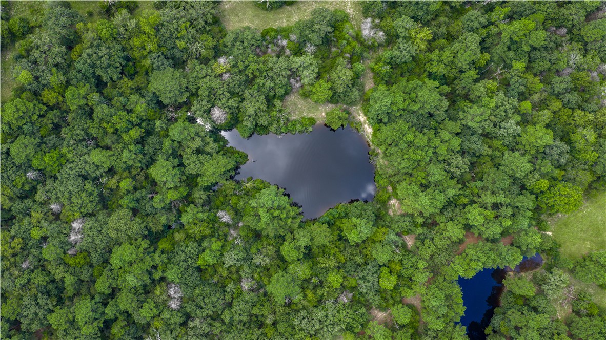 Midway, Texas, 75852, United States, 1 Bedroom Bedrooms, ,1 BathroomBathrooms,Residential,For Sale,1957289