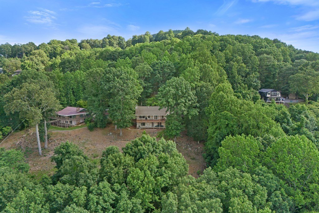 Hiawassee, Georgia, 30546, United States, 3 Bedrooms Bedrooms, ,3 BathroomsBathrooms,Residential,For Sale,1880461