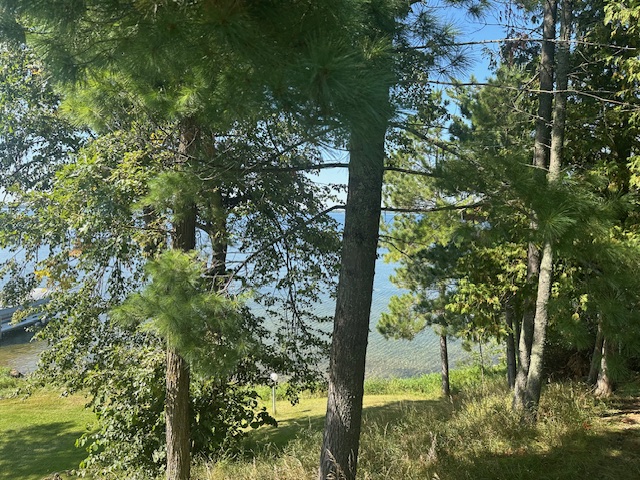 Bemidji, Minnesota, 56601, United States, 4 Bedrooms Bedrooms, ,2 BathroomsBathrooms,Residential,For Sale,1979125