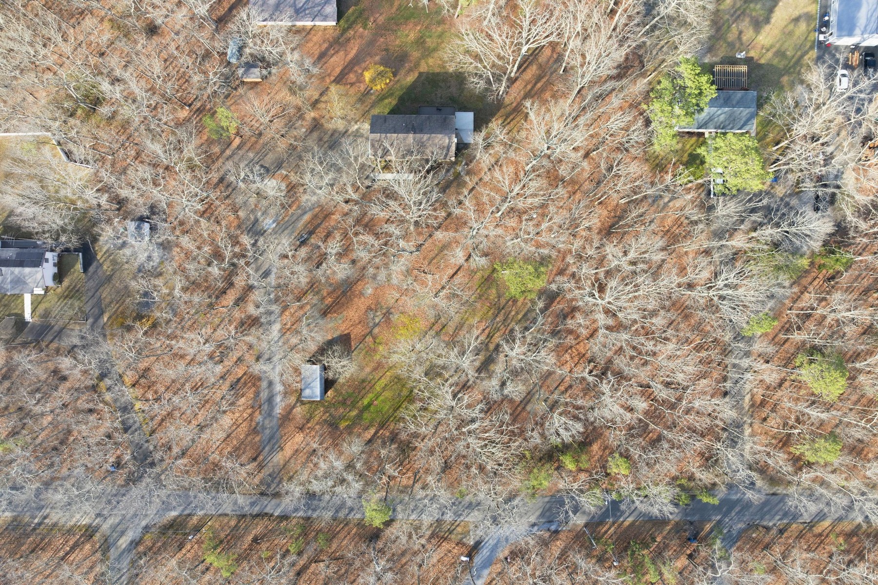  6311 Pine St - 物件實景