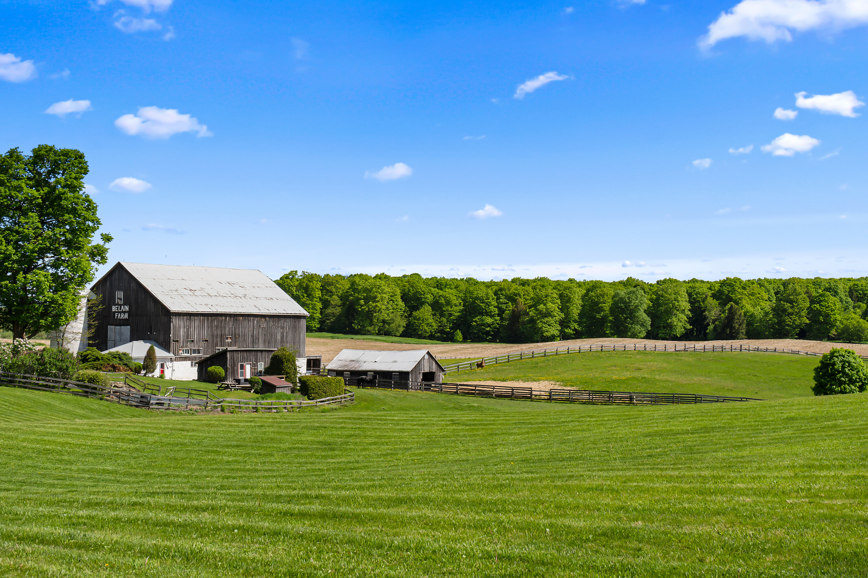  Country Living - 物件實景