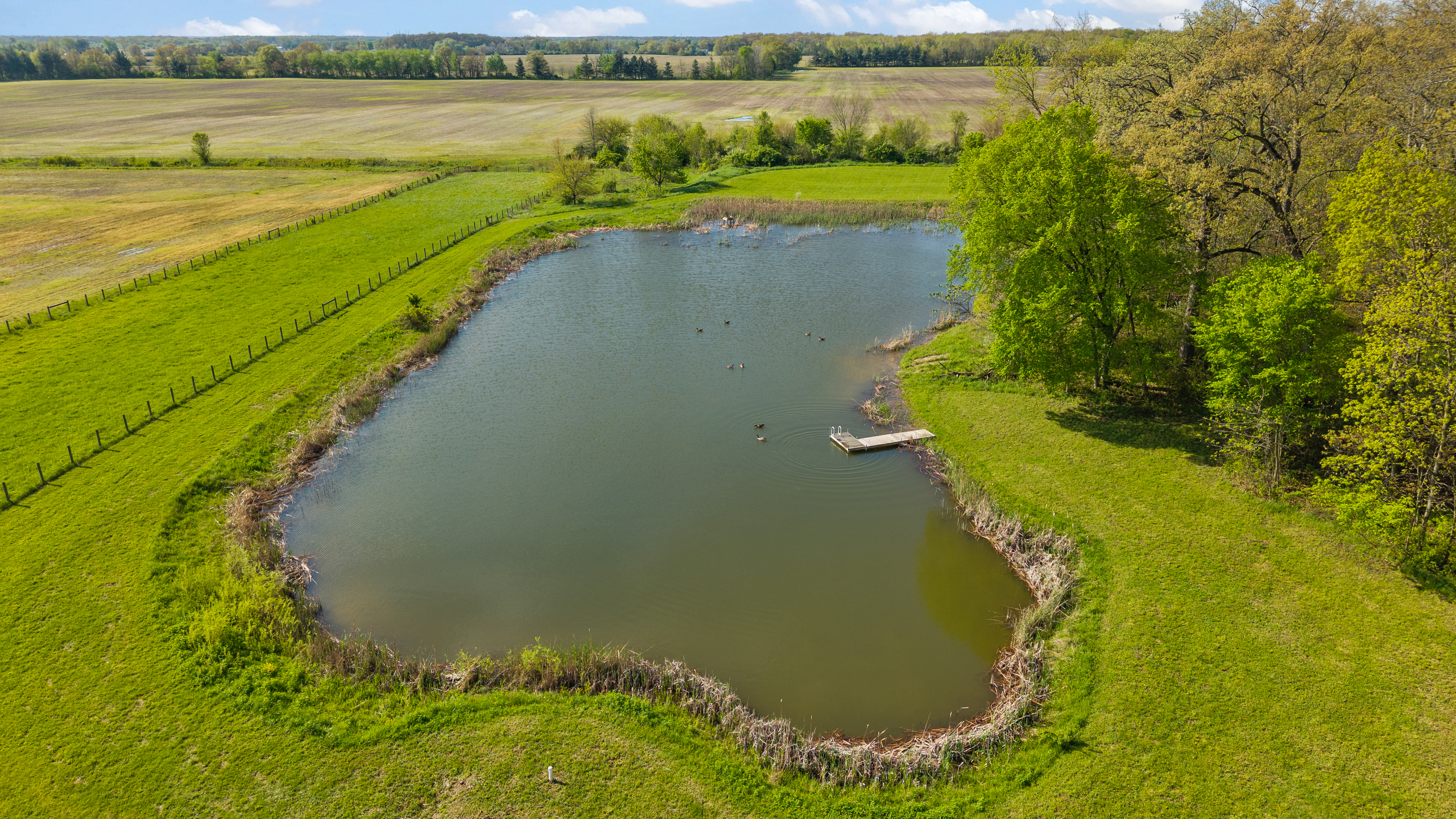  77+ Acre Estate Offering a Blend of Open Ground and Wooded Surroundings - 物件實景