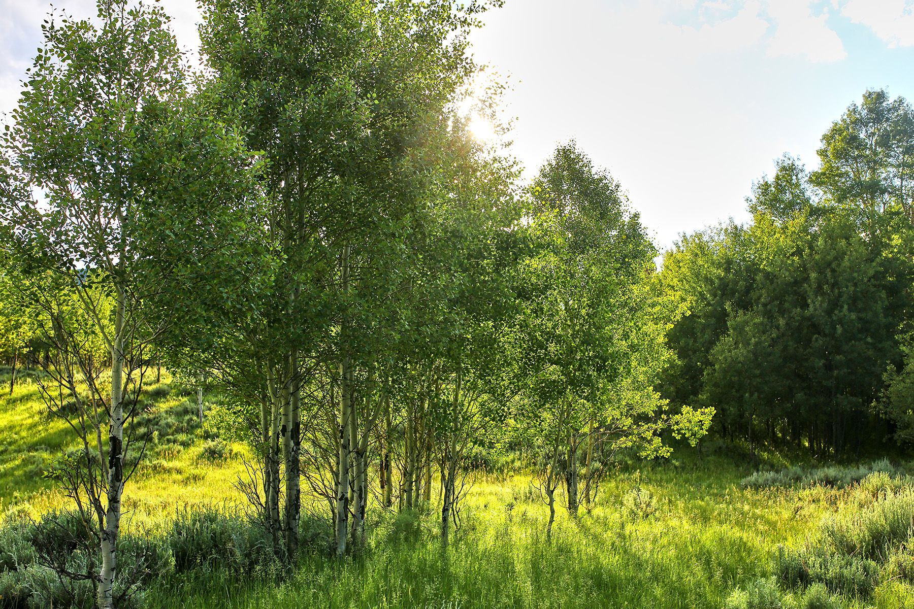  Snake River Sporting Club Lot - 物件實景