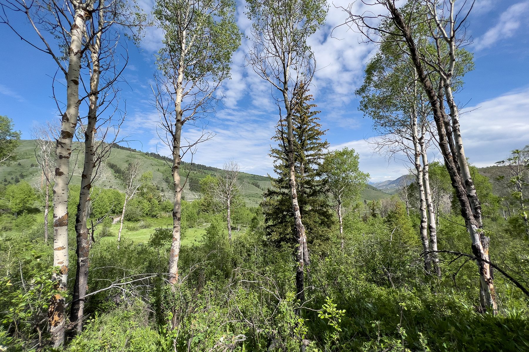  Rodeo Road - 物件實景
