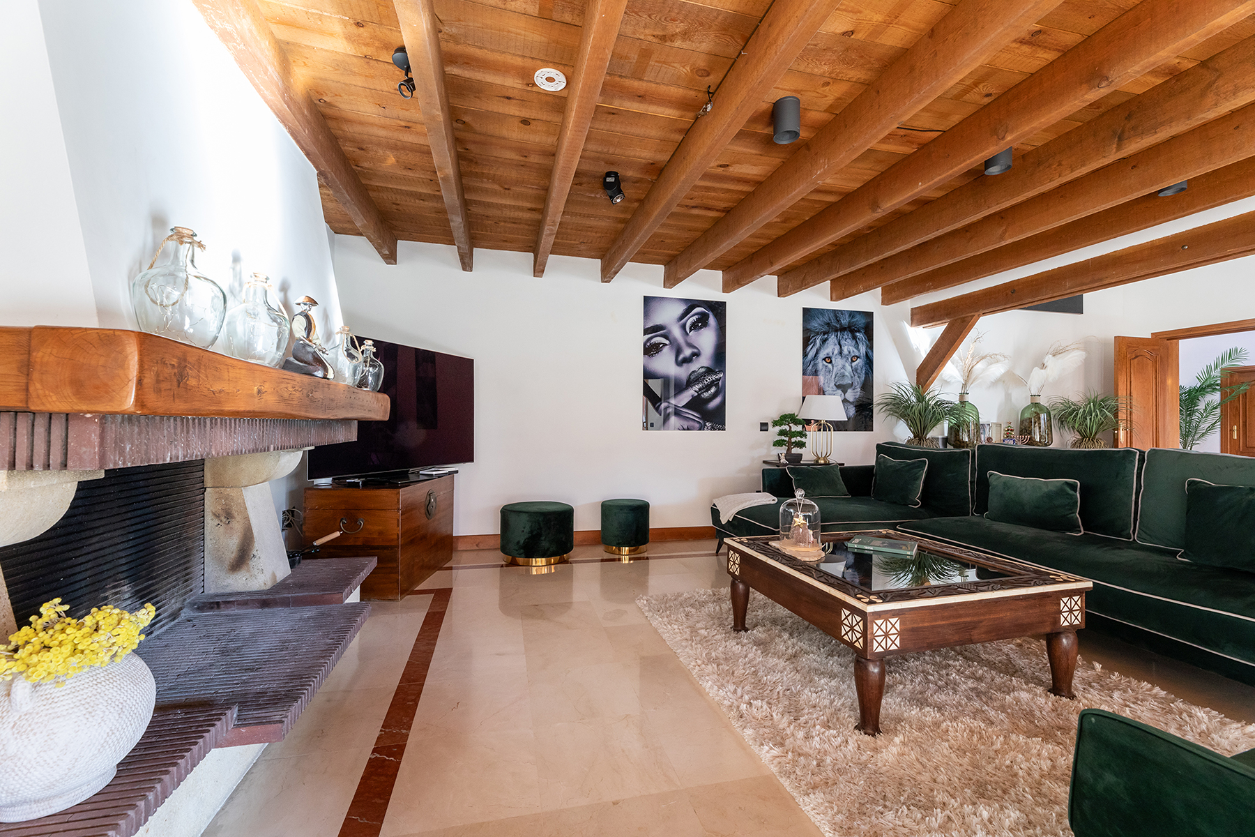 Charm and privacy in Madrid - 物件實景