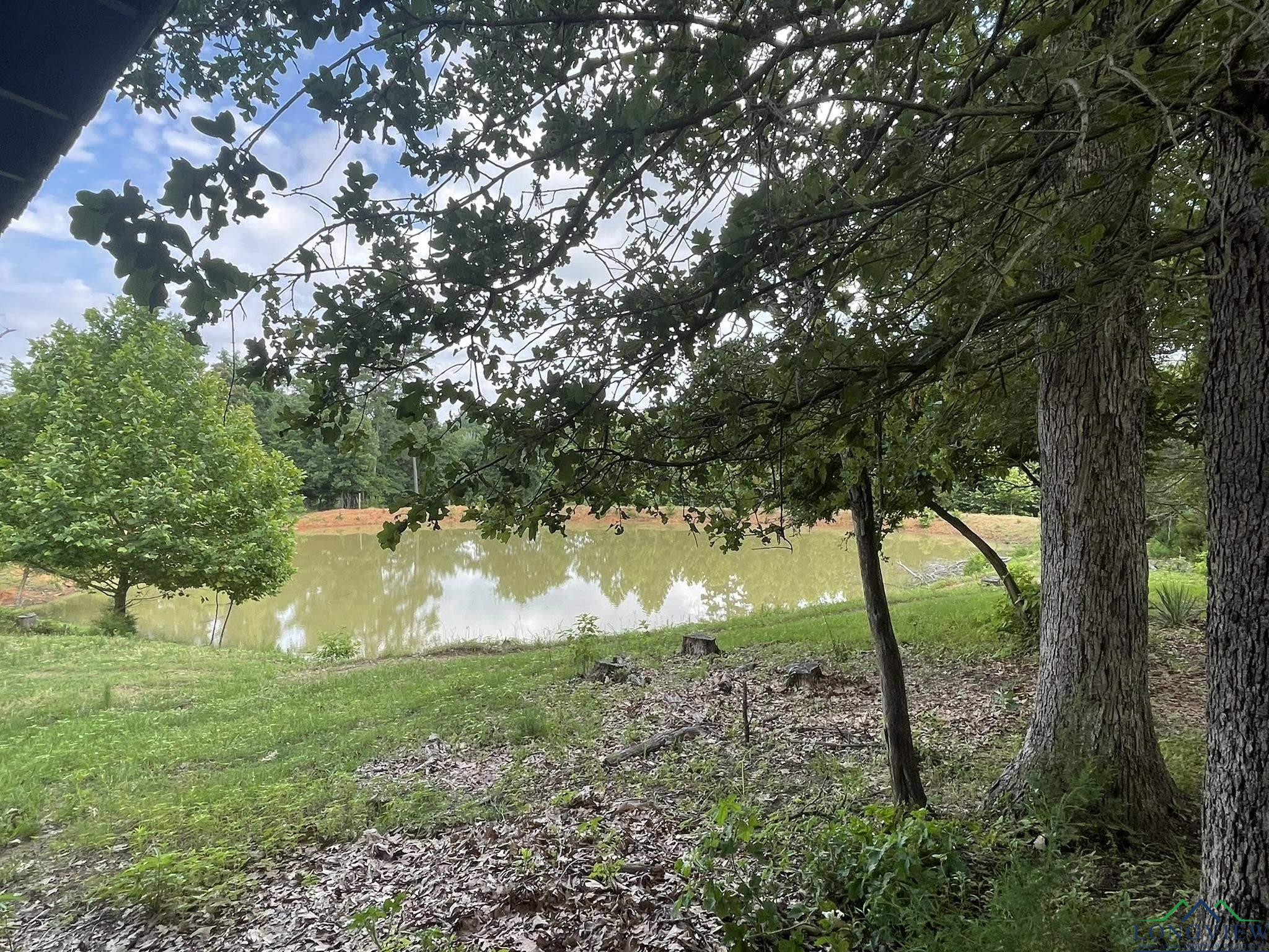 Gilmer, Texas, 75644, United States, 3 Bedrooms Bedrooms, ,2 BathroomsBathrooms,Residential,For Sale,1847700