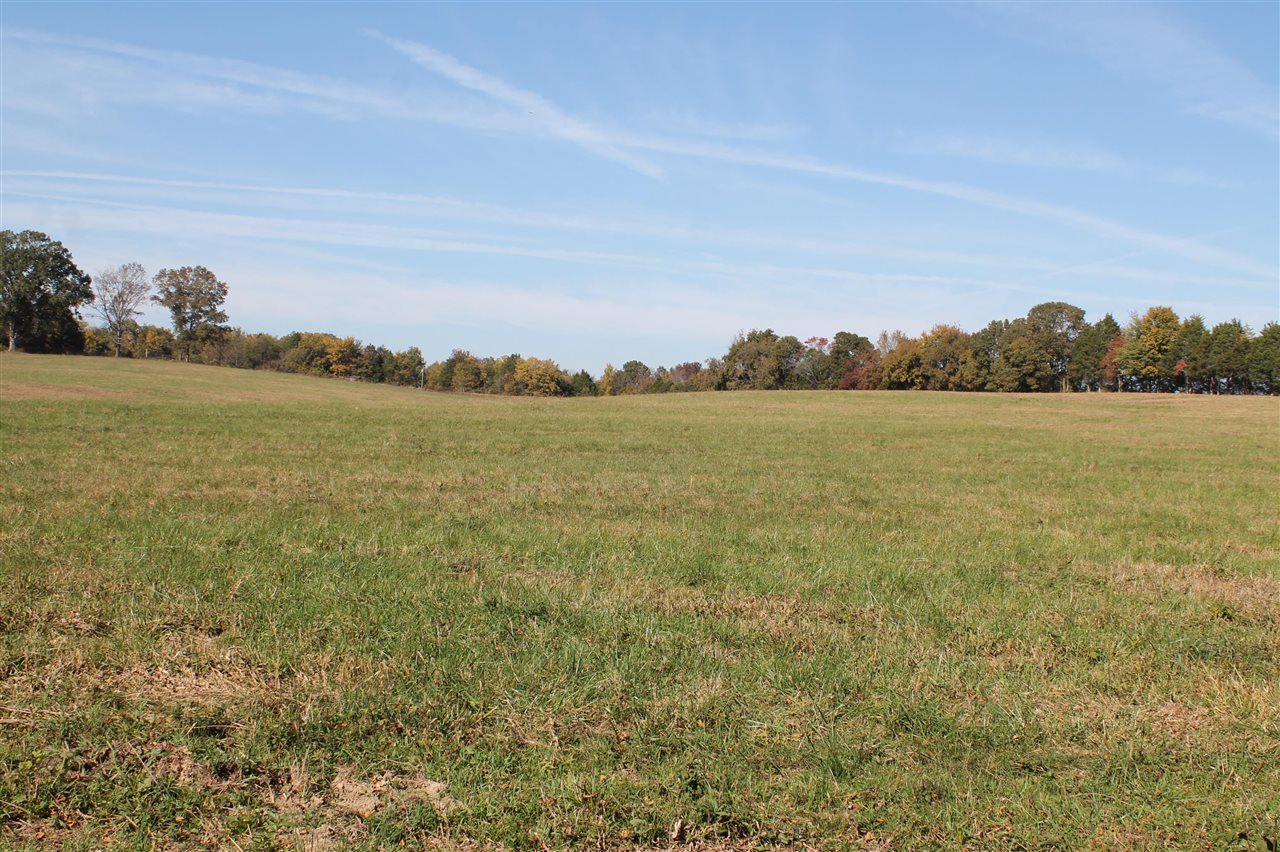 Bowling Green, Kentucky, 42101, United States, 3 Bedrooms Bedrooms, ,2 BathroomsBathrooms,Residential,For Sale,1838101