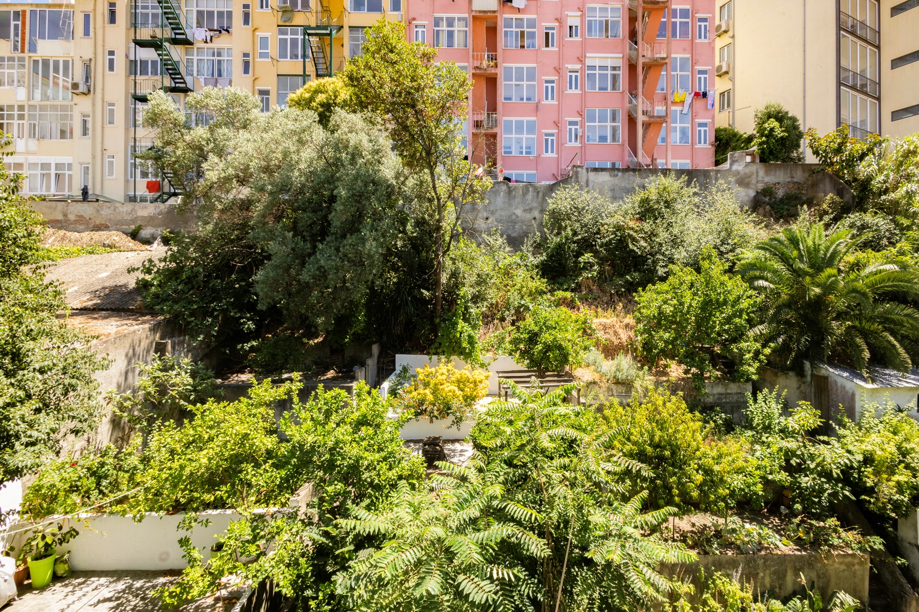  Flat, 3 bedrooms, for Sale - 物件實景