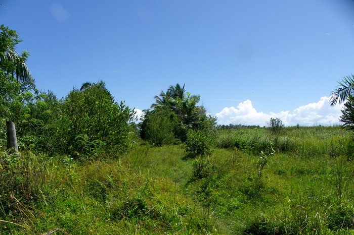 Cabarete, DO, ,Land,For Sale,1627535