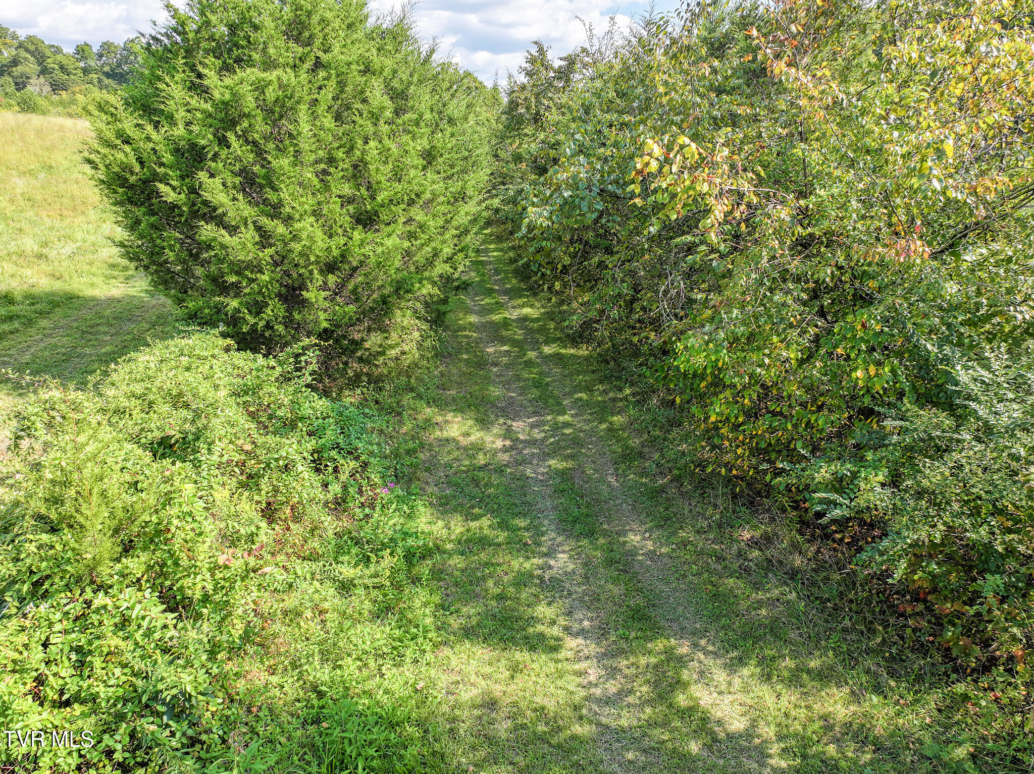 Greeneville, Tennessee, 37745, United States, 3 Bedrooms Bedrooms, ,3 BathroomsBathrooms,Residential,For Sale,2039547