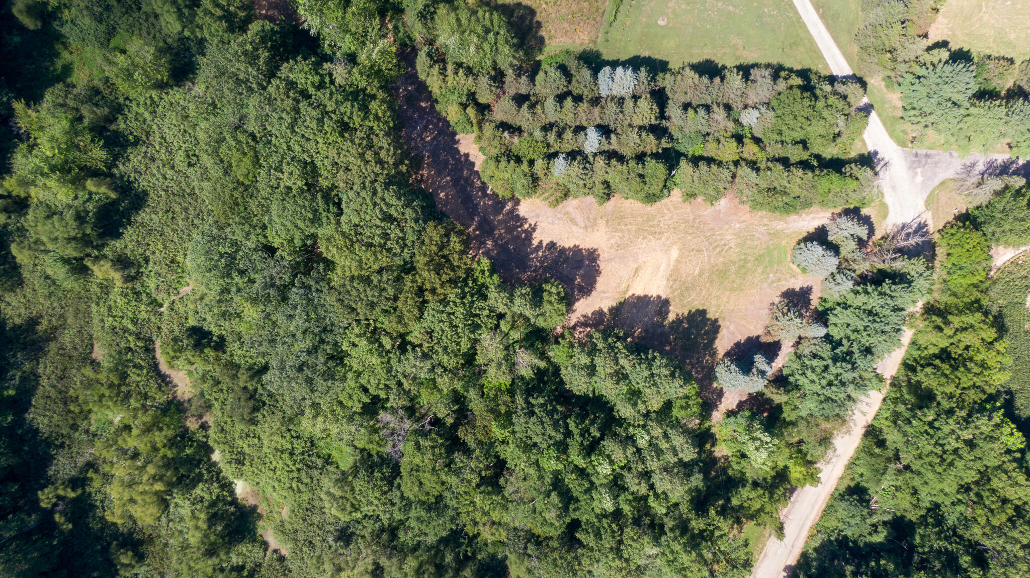 Union Pier, Michigan, 49129, United States, ,Land,For Sale,1988293