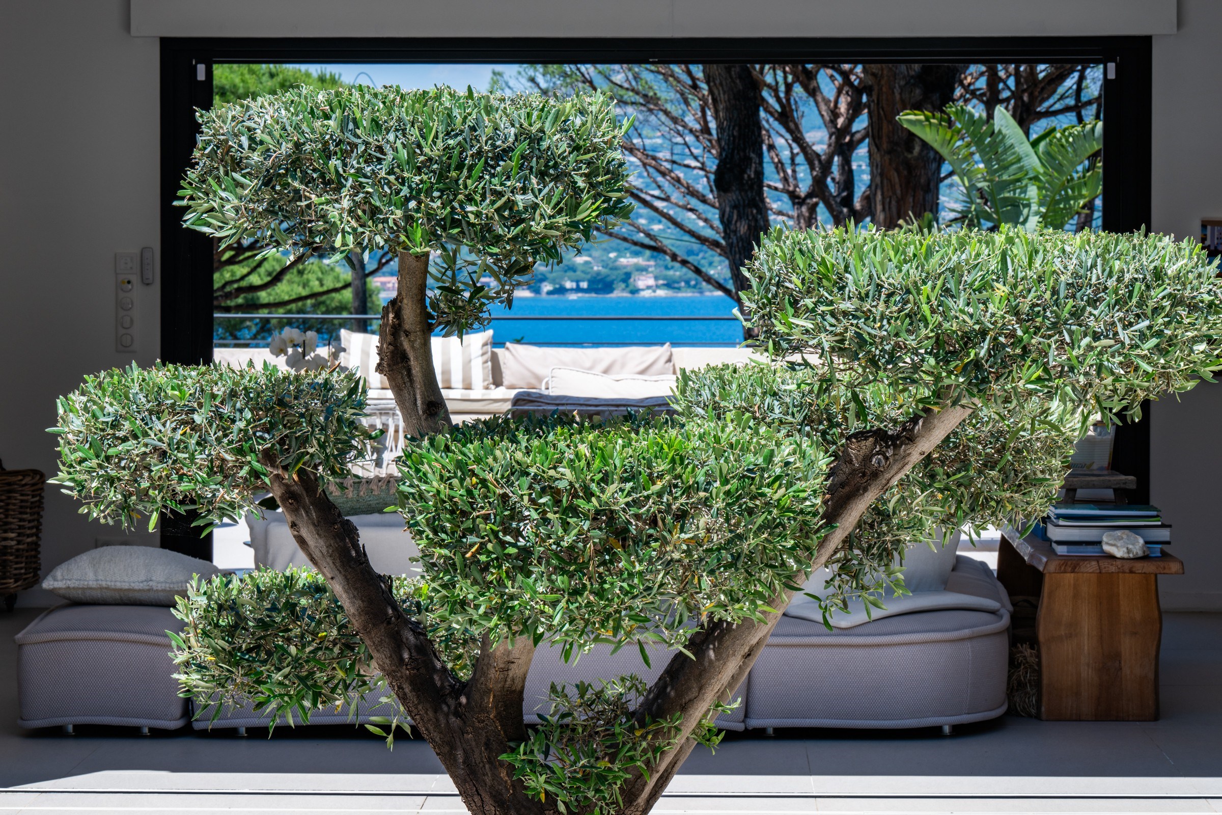  Contemporary villa with sea view for sale in Gassin, at the gateway to Saint-Tr… - 物件實景