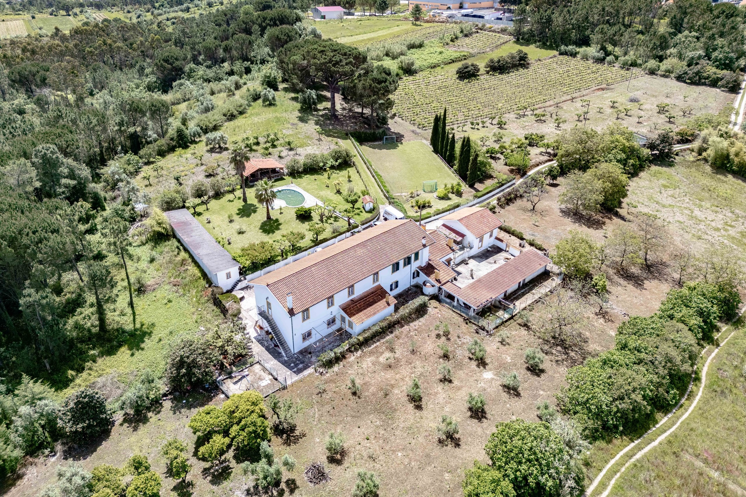 Coimbra, Coimbra, 3020-742, PT, 5 Bedrooms Bedrooms, ,3 BathroomsBathrooms,Residential,For Sale,1826993