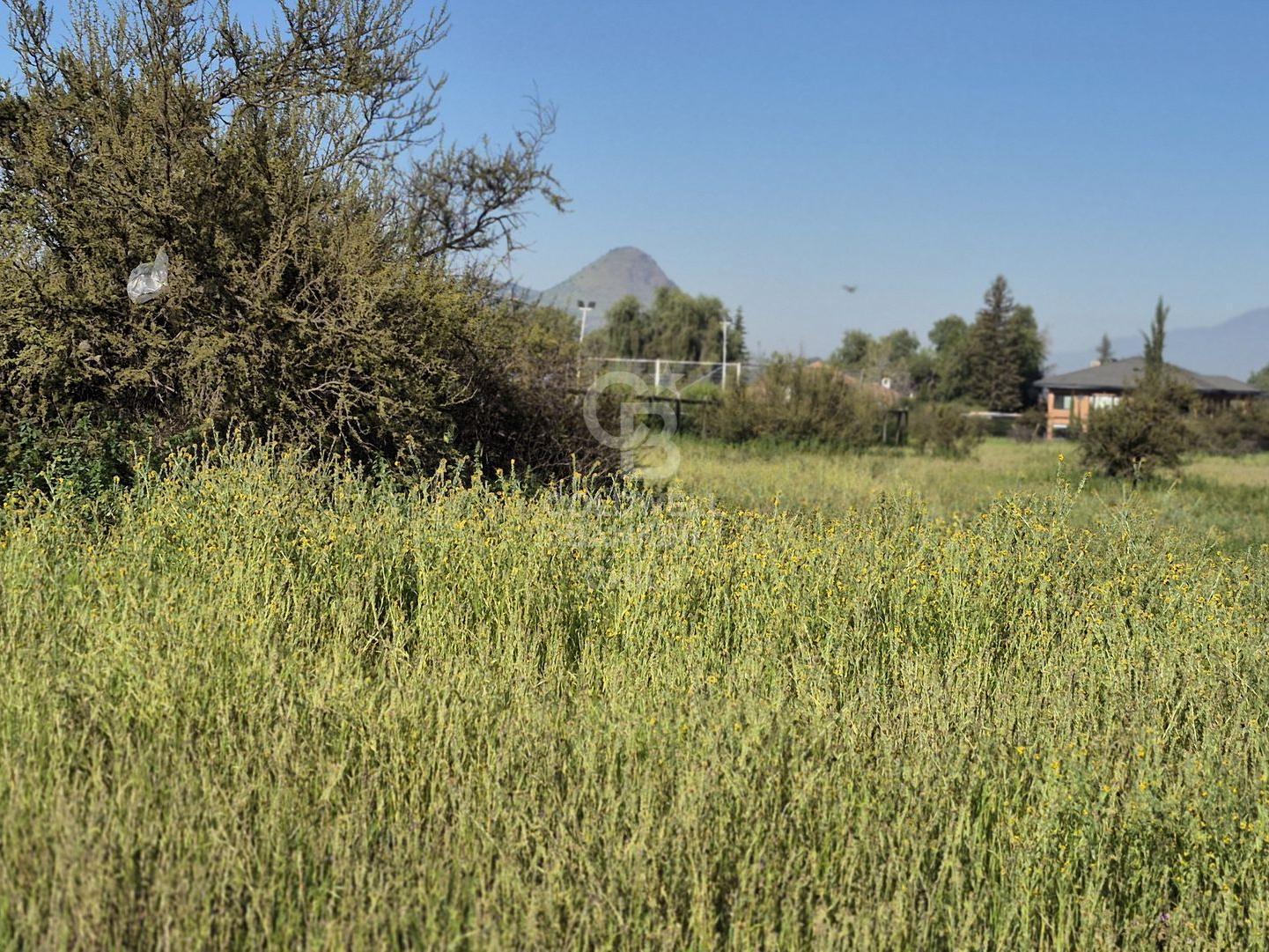 Colina, Chile, ,Land,For Sale,1958445