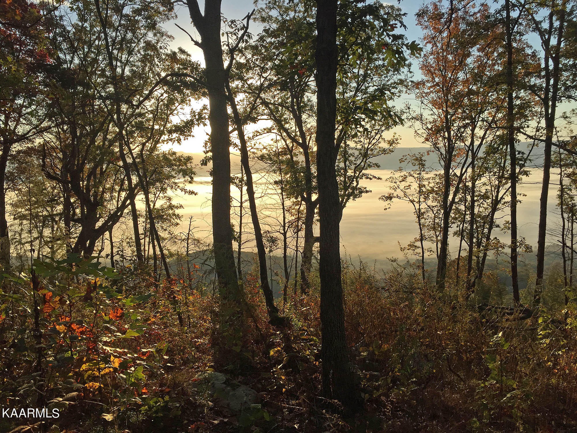 Pikeville, Tennessee, 37367, United States, ,Residential,For Sale,1943070