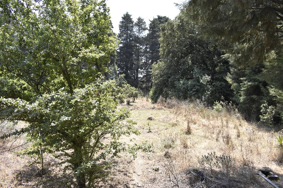 Atlautla, Estado de méxico, 56980, Mexico, 1 Bedroom Bedrooms, ,Residential,For Sale,1965670