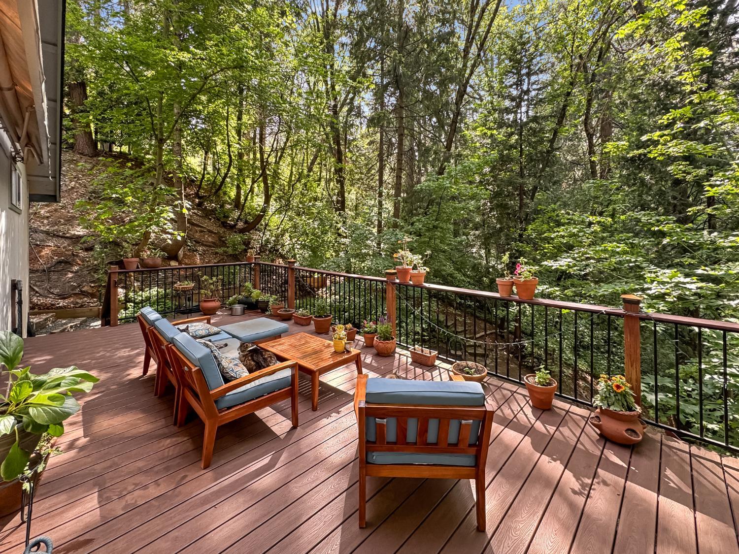 Grass Valley, California, 95945, United States, 3 Bedrooms Bedrooms, ,2 BathroomsBathrooms,Residential,For Sale,1944536