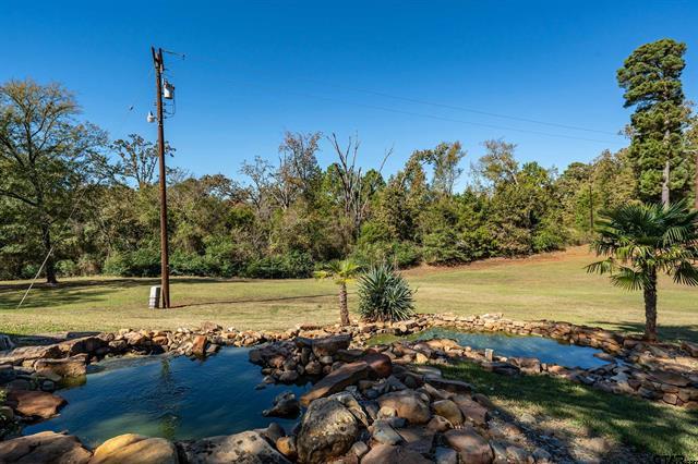 Winona, Texas, 75792, United States, 4 Bedrooms Bedrooms, ,2 BathroomsBathrooms,Residential,For Sale,1995143