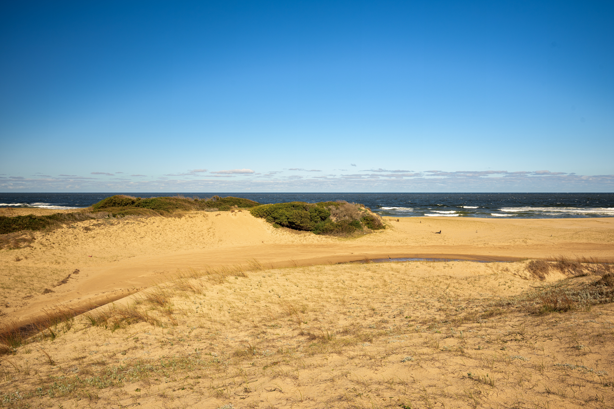  La Virazón  597-Hectare Oceanfront Estate in Rocha, Uruguay - 物件實景