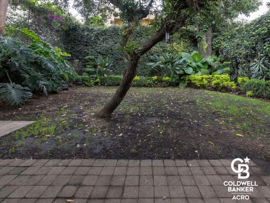 Duna, Coyoacán, Ciudad de México, 04500, Mexico, 3 Bedrooms Bedrooms, ,4 BathroomsBathrooms,Residential,For Sale,Duna,1640518