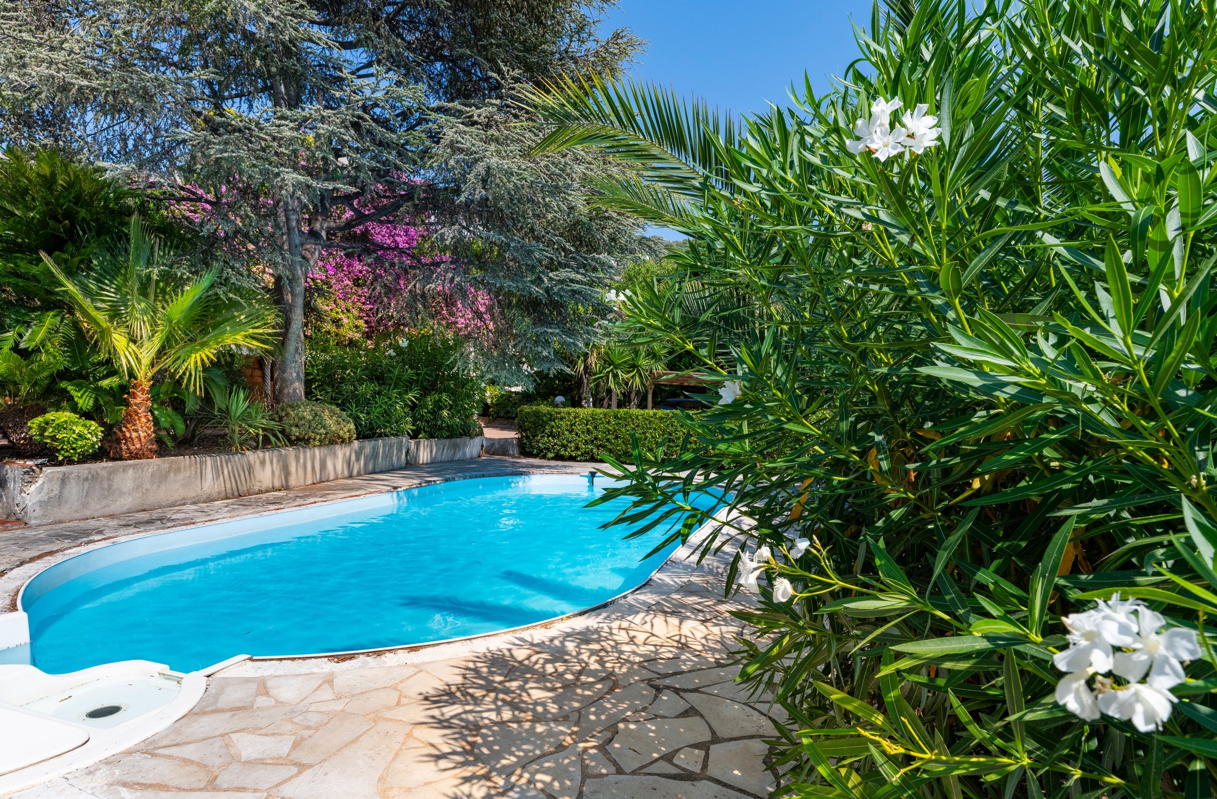  Exclusive Listing Mont Boron. Prestigious Apartment within a Historic Mansion - 物件實景