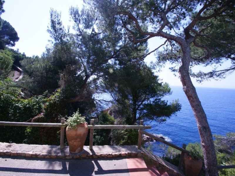 Girona, Palafrugell, Tamariu Girona, Palafrugell, Palafrugell, Catalonia, ES, 9 Bedrooms Bedrooms, ,6 BathroomsBathrooms,Residential,For Sale,Girona, Palafrugell, Tamariu Girona, Palafrugell, ,1449109