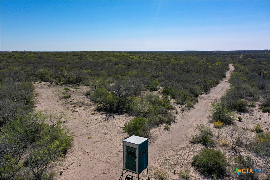 George West, Texas, 78022, United States, ,Land,For Sale,1738703
