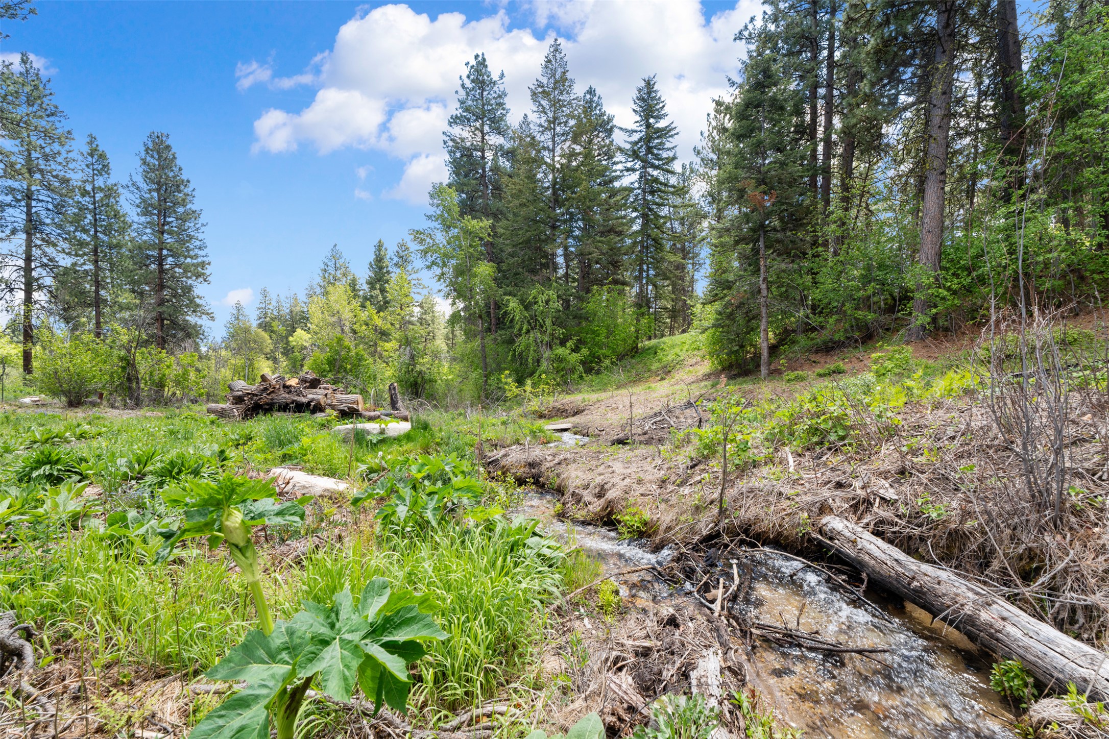  363 Owings Creek Road, Hamilton, MT, 59840 - 物件實景