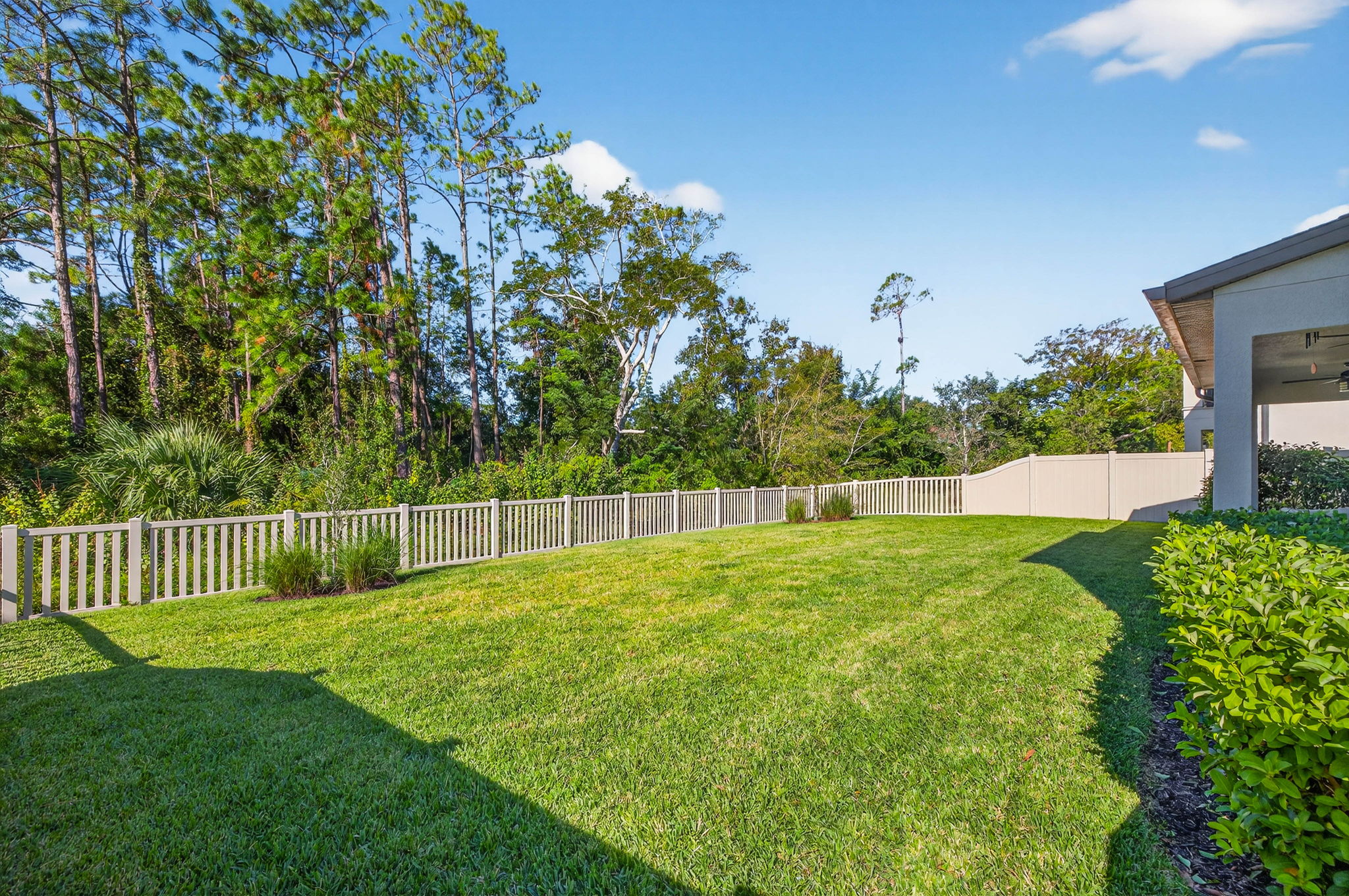 Land O Lakes, Florida, 34637, United States, 5 Bedrooms Bedrooms, ,3 BathroomsBathrooms,Residential,For Sale,1976107