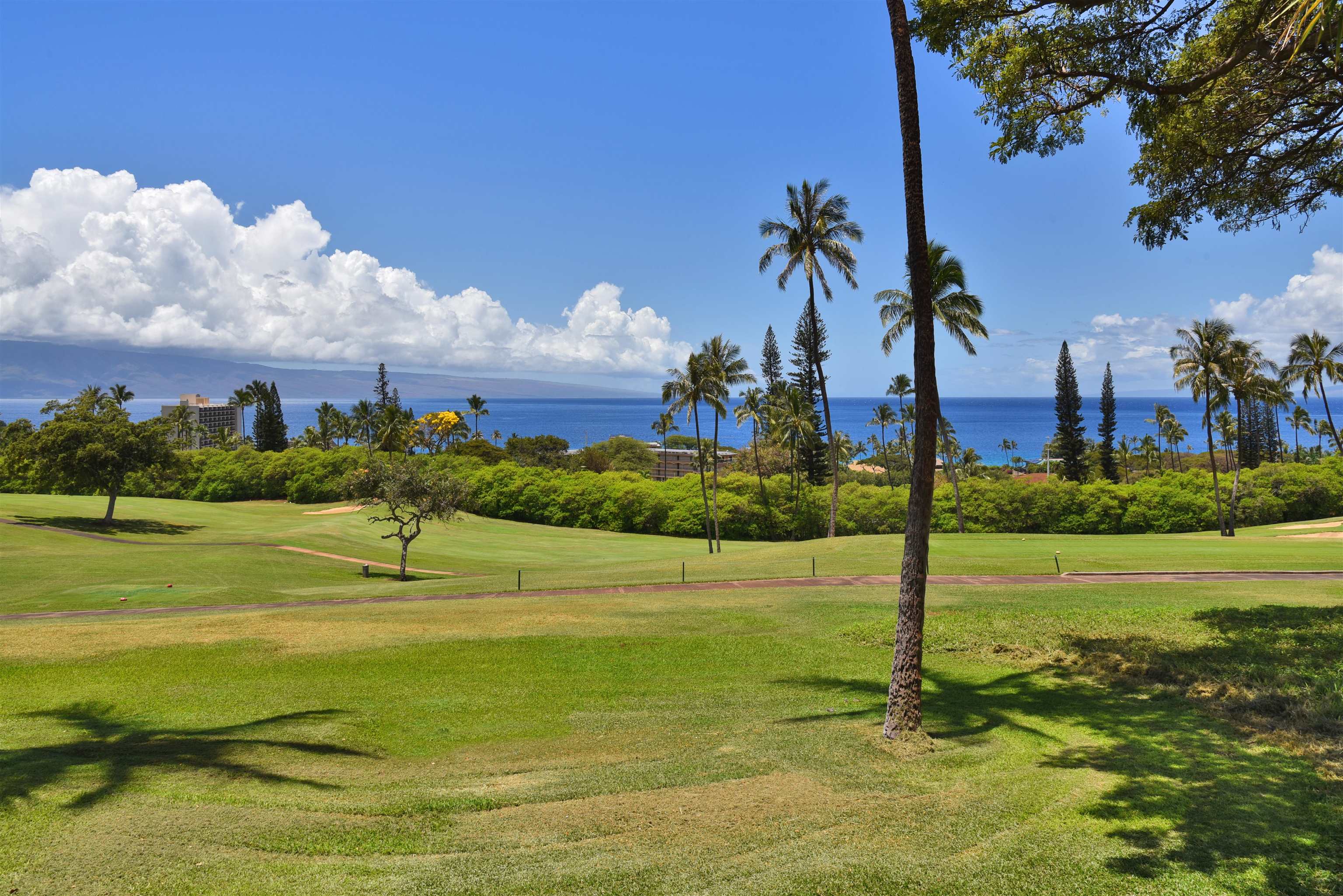 Lahaina, Hawaii, 96761, United States, 2 Bedrooms Bedrooms, ,2 BathroomsBathrooms,Residential,For Sale,1795000