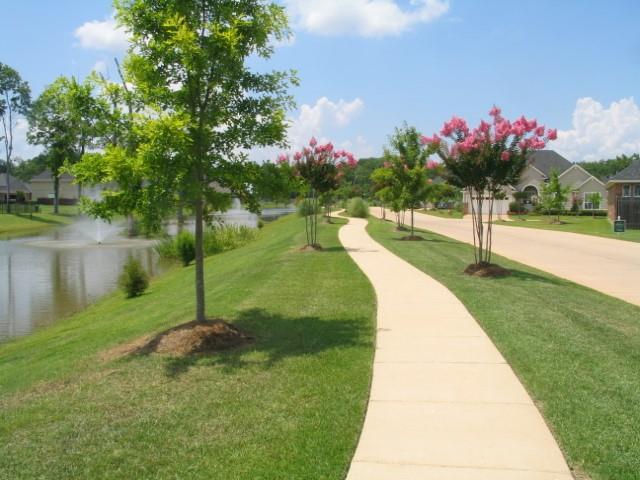 Shreveport, Louisiana, 71115, United States, 4 Bedrooms Bedrooms, ,4 BathroomsBathrooms,Residential,For Sale,1883675