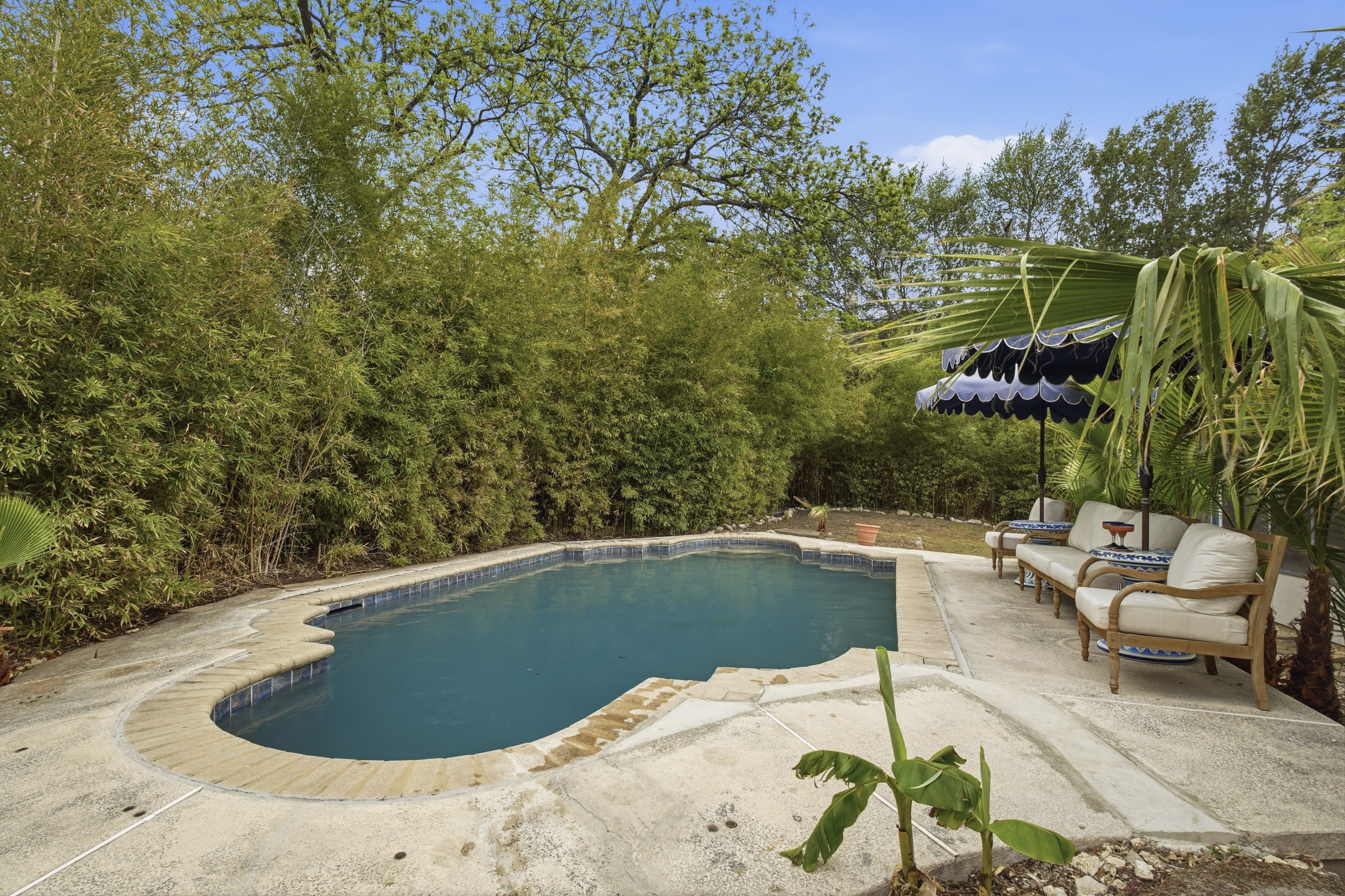  Timeless Alamo Heights Spanish Colonial - 物件實景