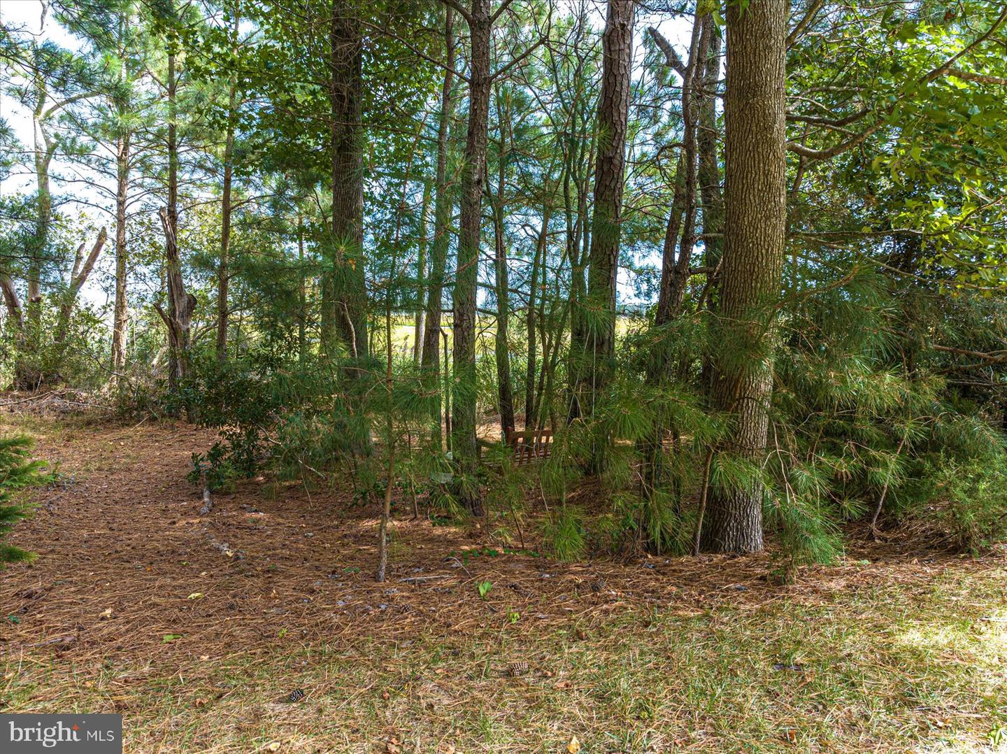 10312 Thirty Knots Lane, Berlin, Maryland, 21811, United States, ,Land,For Sale,10312 Thirty Knots Lane,1610014