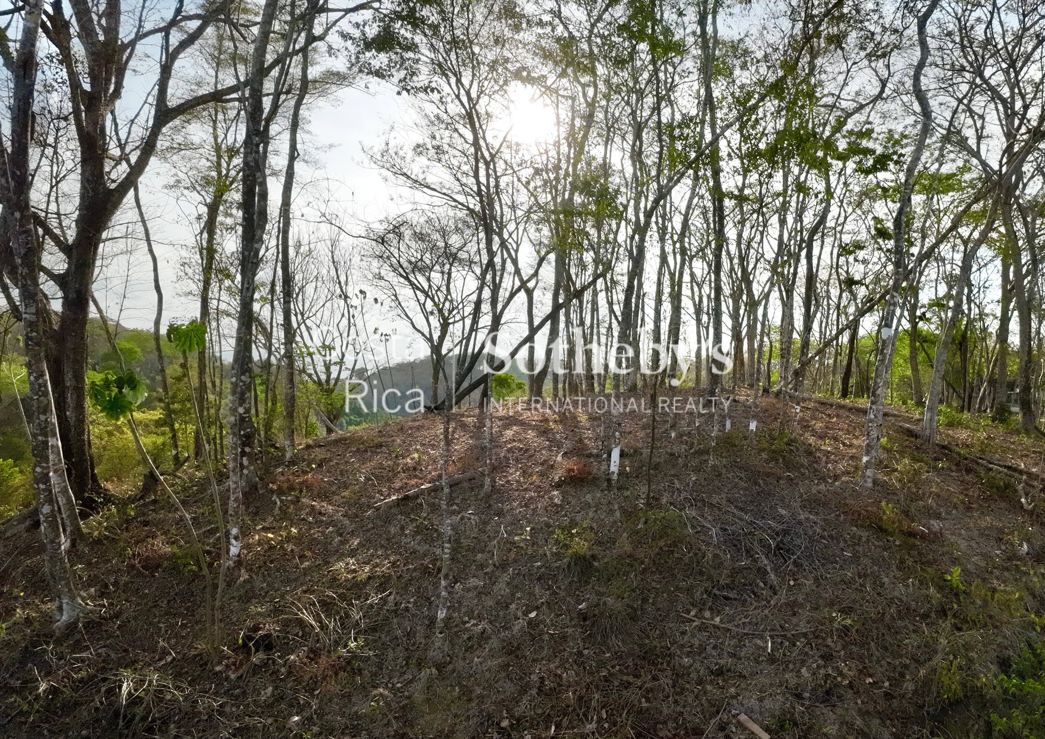  Idyllic Ocean View Lot in the Hills of Hermosa - 物件實景