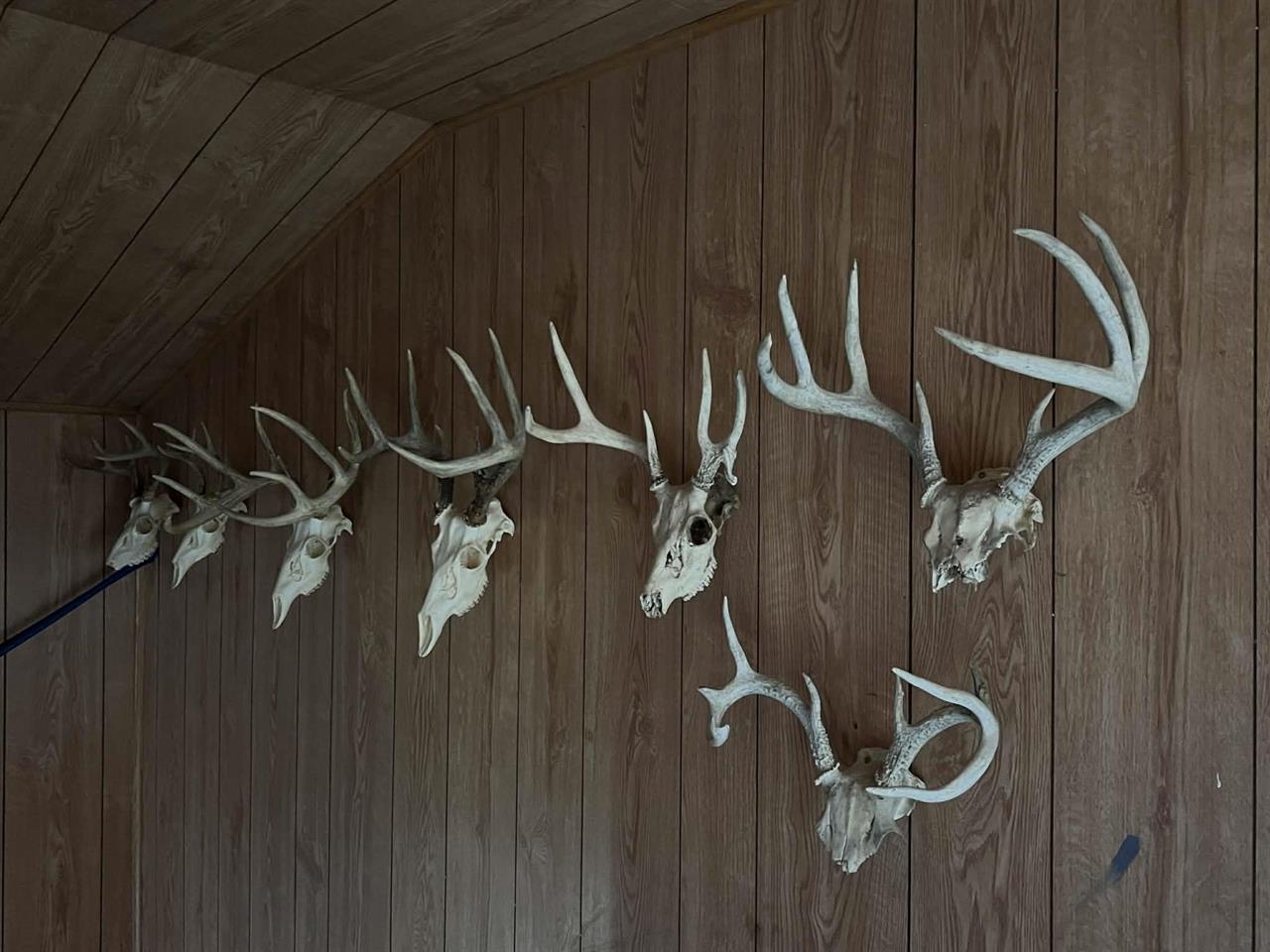 La Valle, Wisconsin, 53941, United States, 7 Bedrooms Bedrooms, ,Residential,For Sale,1995169