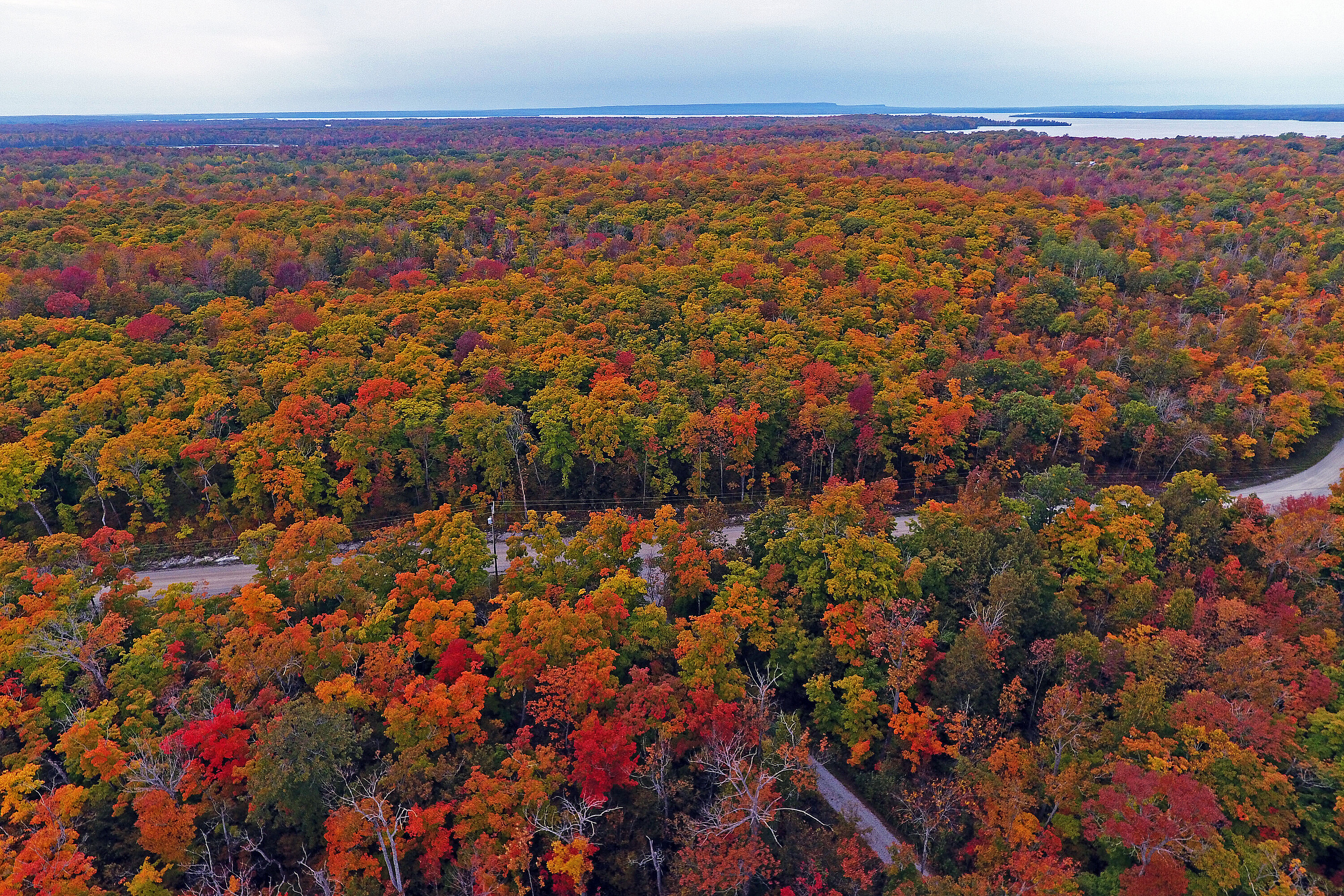  Central Manitoulin, - 物件實景