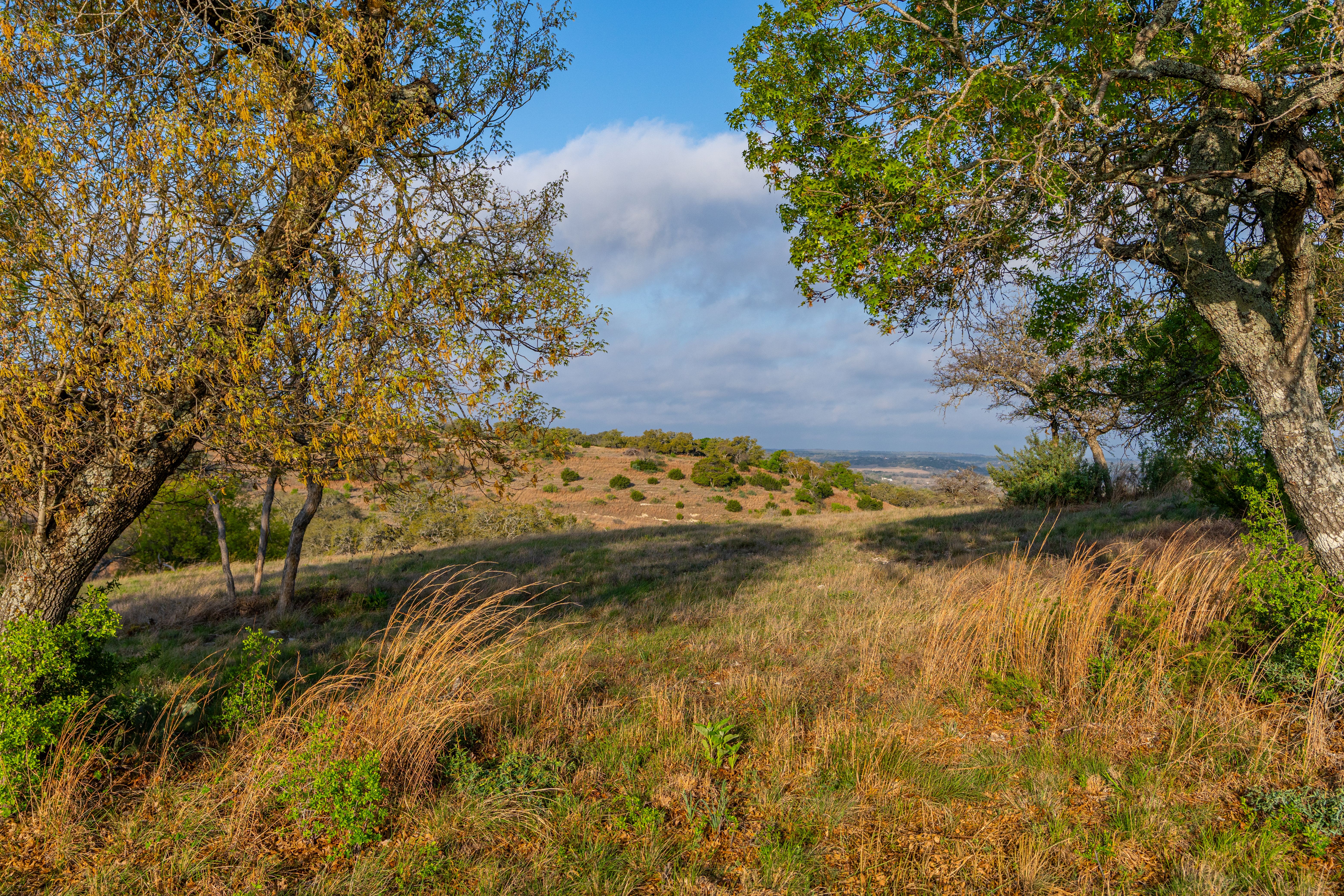  French Country Elegance in the Texas Hill Country - 物件實景