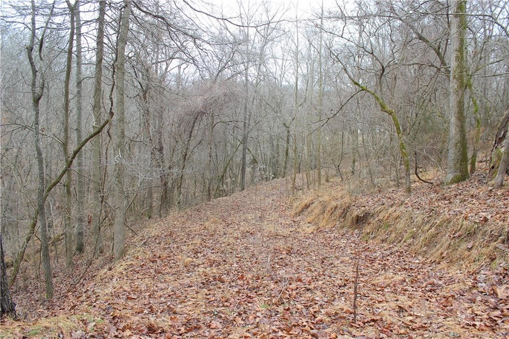 Rogers, Arkansas, 72756, United States, ,Land,For Sale,1966803