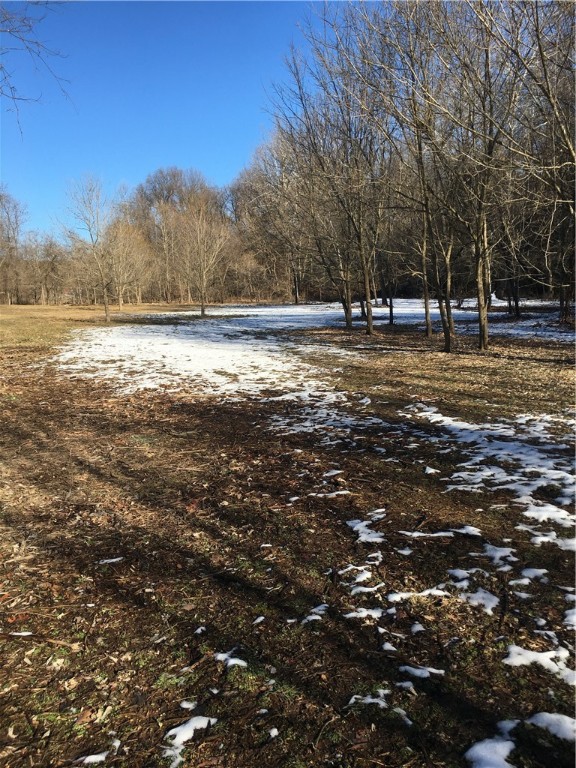821 Puppy Creek Road, Lowell, Arkansas, 72745, United States, ,Land,For Sale,821 Puppy Creek Road,1673230