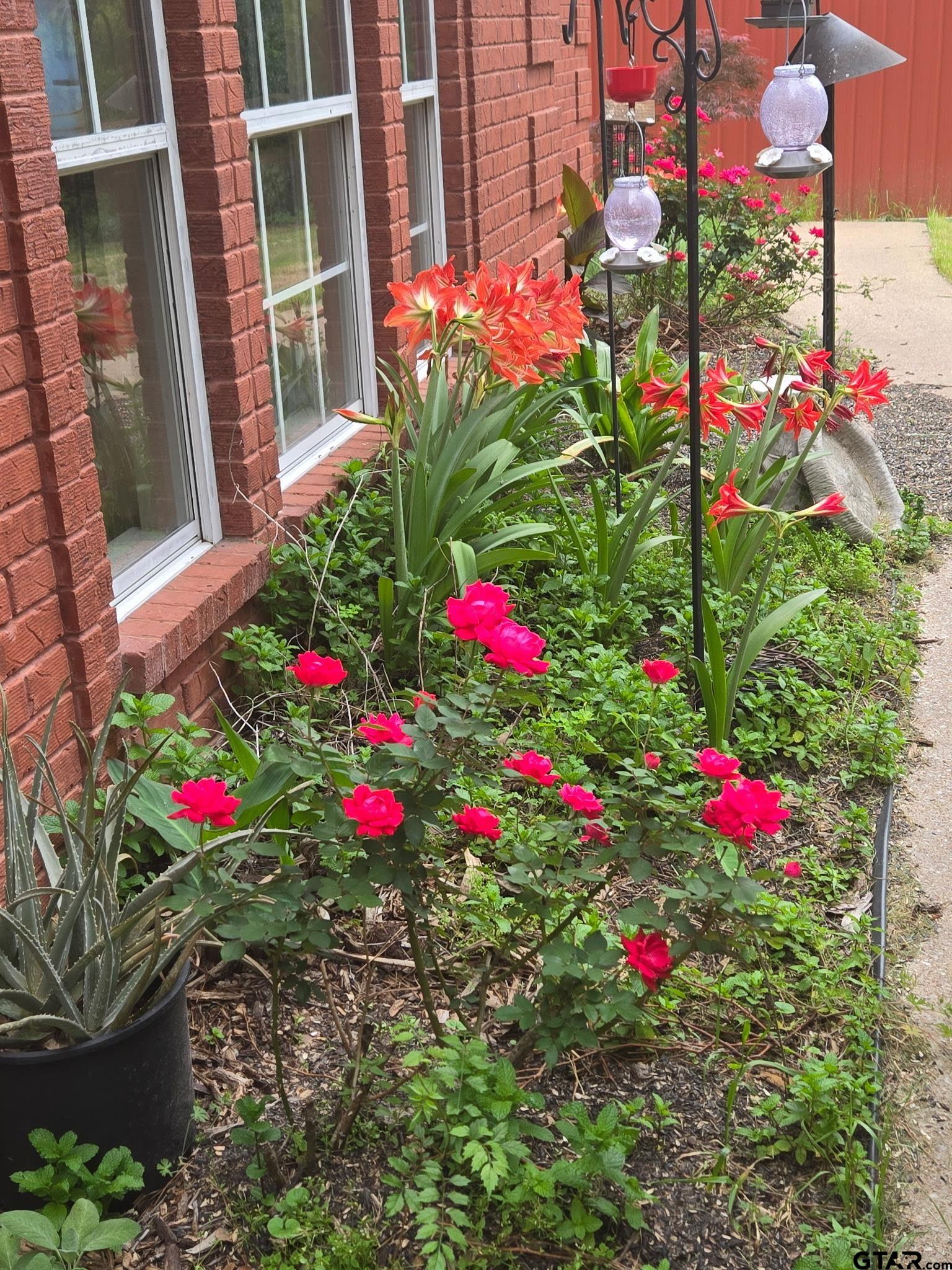 Tyler, Texas, 75704, United States, 3 Bedrooms Bedrooms, ,2 BathroomsBathrooms,Residential,For Sale,1908675