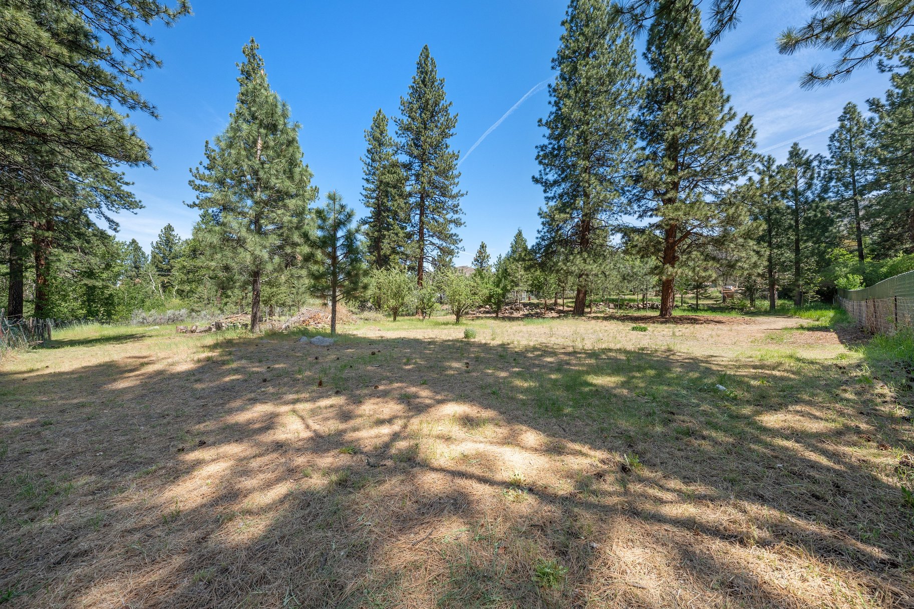  Sweet home on 1.24 acres in Sierra Brooks - 物件實景