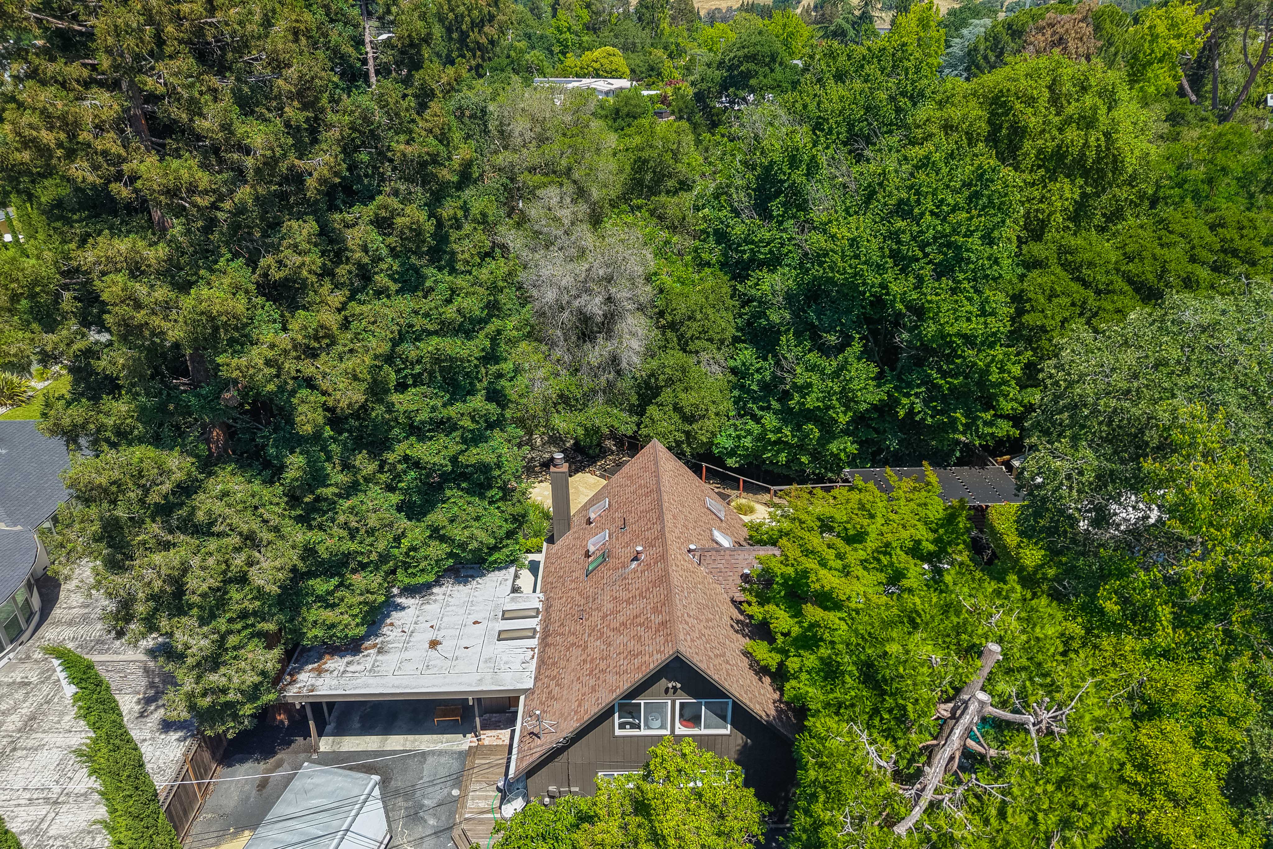  Exceptional Creekside Home in Desirable Saranap - 物件實景