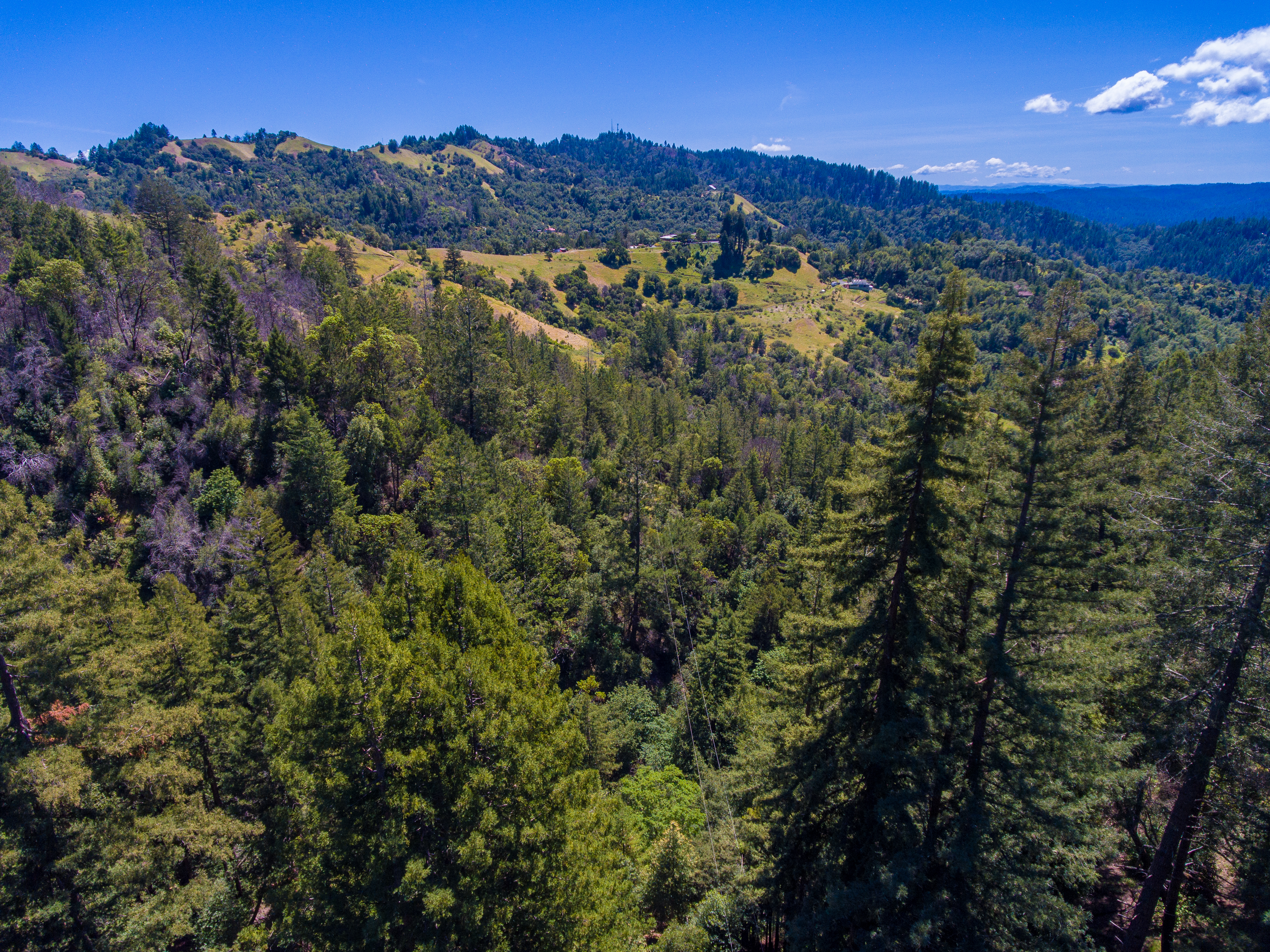  18900 Armstrong Woods Road, Guerneville, CA 95446 - 物件實景