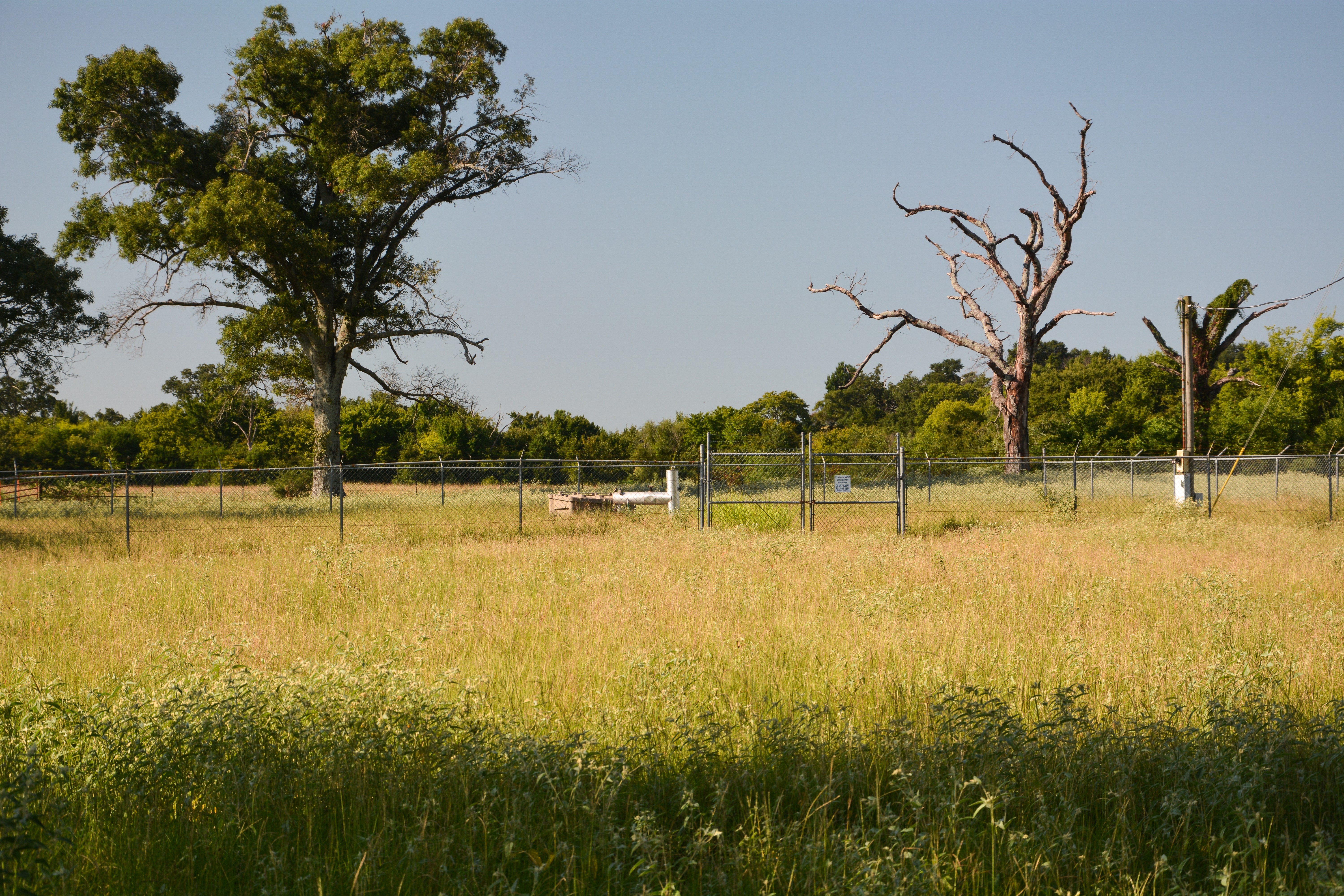 Grand Saline, Texas, 75140, United States, ,Residential,For Sale,1936963