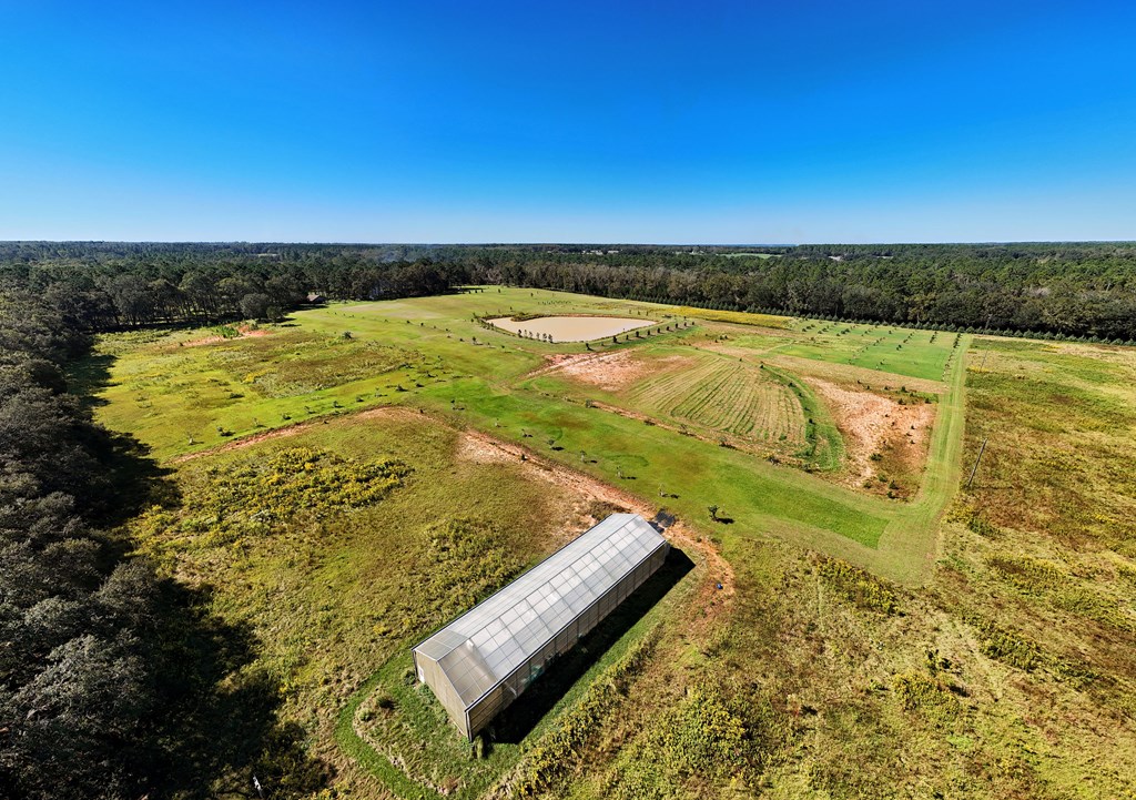 Pavo, Georgia, 31778, United States, ,Residential,For Sale,1988640