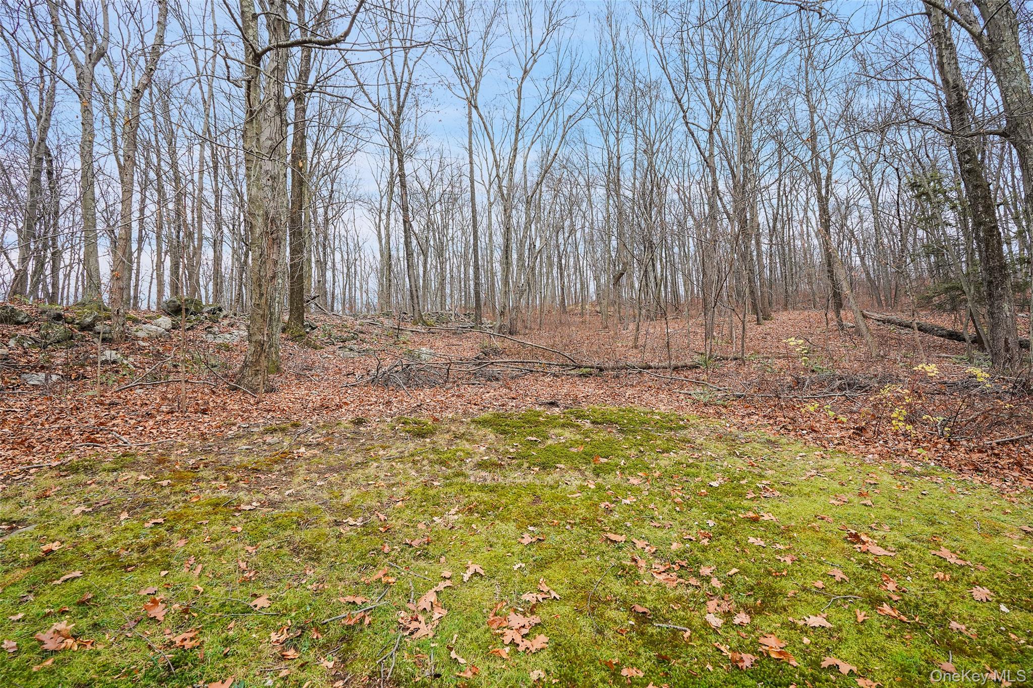 Fishkill, New York, 12524, United States, 3 Bedrooms Bedrooms, ,2 BathroomsBathrooms,Residential,For Sale,1999553