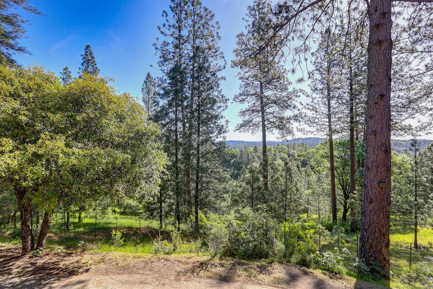 Grass Valley, California, 95949, United States, 3 Bedrooms Bedrooms, ,3 BathroomsBathrooms,Residential,For Sale,1842602
